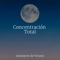 Concentración Total - Meditación Maestro