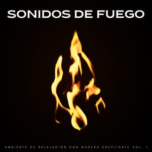 Sonidos De Fuego: Ambiente De Relajación Con Madera Crepitante Vol. 1 - Sonidos De Fuego