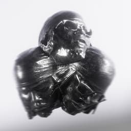 PHOLKS - Leon Thomas