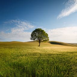 Music For Quiet Moments And The Slow Unfolding Of Time - Relaxing and Calming