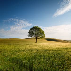 Music For Quiet Moments And The Slow Unfolding Of Time - Relaxing and Calming