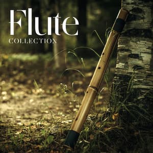 Flute Collection - Dean Peace