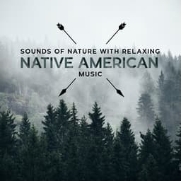 Sounds of Nature with Relaxing Native American Music: Pure State of Mind and New Age Sounds - Native American Music Consort