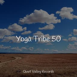 Yoga Tribe 50 - Rain Sound Plus