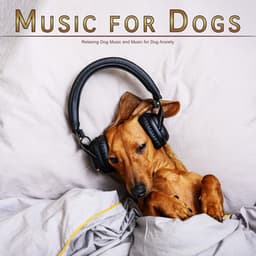 Music for Dogs: Relaxing Dog Music and Music for Dog Anxiety - Pure Dog Music