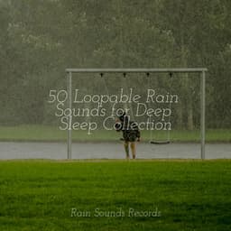50 Loopable Rain Sounds for Deep Sleep Collection - Anxiety Relief