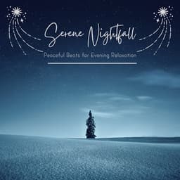 Serene Nightfall: Peaceful Beats for Evening Relaxation - Eximo Blue