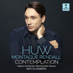 Contemplation - Huw Montague Rendall