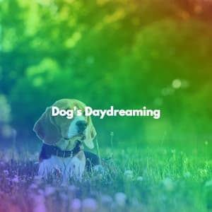 Dog's Daydreaming - Late Night Jazz Bar