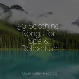 50 Soothing Songs for Spa & Relaxation - The Relaxation Principle
