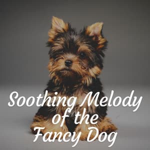 Soothing Melody of the Fancy Dog - Music for Calming Dogs