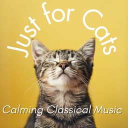 Just for Cats - Calming Classical Music - Relax My Cat