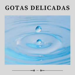 Gotas Delicadas - Sons da natureza HD