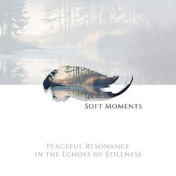 Peaceful Resonance in the Echoes of Stillness - Soft Moments