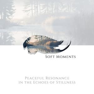 Peaceful Resonance in the Echoes of Stillness - Soft Moments