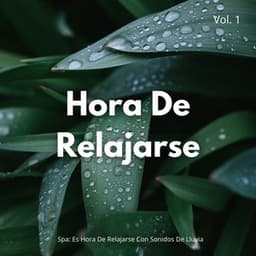Spa: Es Hora De Relajarse Con Sonidos De Lluvia Vol. 1 - Sol y Lluvia