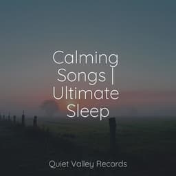 Calming Songs | Ultimate Sleep - Relajación