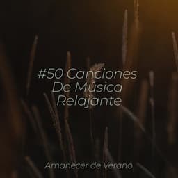 #50 Canciones De Música Relajante - Musica romantica instrumental