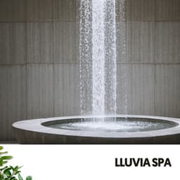 Lluvia Spa: Where Serenity Meets the Raindrops - Ocean Sounds FX