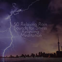 50 Relaxing Rain Sounds for Stress Relieving Meditation - Binaural Beats Brainwave Entrainment