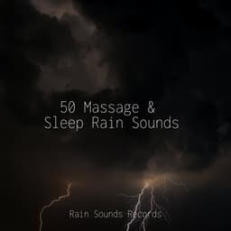 50 Massage & Sleep Rain Sounds - Natureza