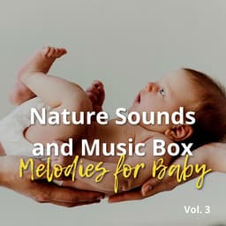 Nature Sounds and Music Box Melodies for Baby Vol. 3 - Sleeping Babies Songs