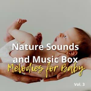 Nature Sounds and Music Box Melodies for Baby Vol. 3 - Sleeping Babies Songs
