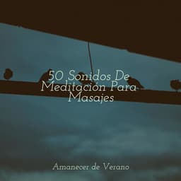 50 Sonidos De Meditación Para Masajes - Bedtime Baby