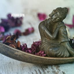Asian SPA - Relaxing Mindfulness Meditation Relaxation Maestro