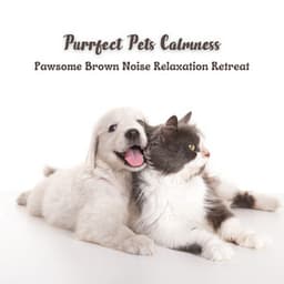 Purrfect Pets Calmness: Pawsome Brown Noise Relaxation Retreat - No Fade Noise