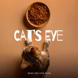 Cat’s Eye - Music for Cats Peace