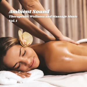 Ambient Sound: Therapeutic Wellness and Massage Music Vol. 1 - 1 Hour Massage