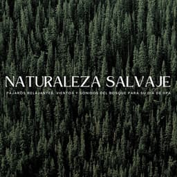 Naturaleza Salvaje: Pájaros Relajantes, Vientos Y Sonidos Del Bosque Para Su Día De Spa - Colectivo de frecuencias de planta