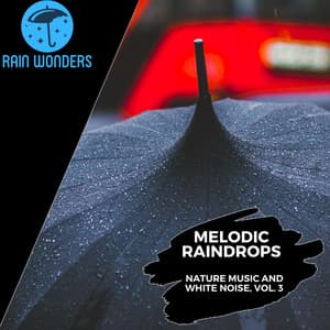 Melodic Raindrops - Nature Music and White Noise, Vol. 3 - Rain Sounds