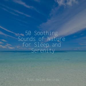 50 Soothing Sounds of Nature for Sleep and Serenity - Musica Relajante