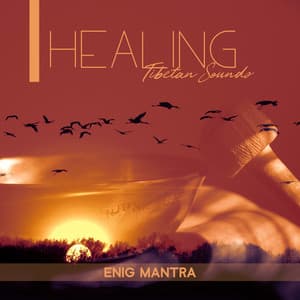 Healing Tibetan Sounds - Katiaro