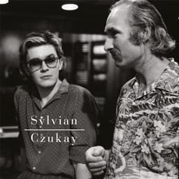 Plight & Premonition Flux & Mutability - David Sylvian