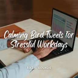 Rain Sounds: Calming Bird Tweets for Stressful Workdays - Rain Hard