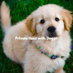 Private Hour with Doggo - Easy Listening Instrumental Music