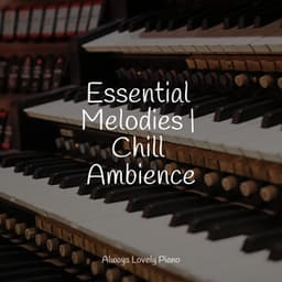 50 Chillout Music to Relax to - Bar Lounge