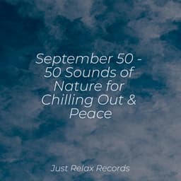 September 50 - 50 Sounds of Nature for Chilling Out & Peace - New Age