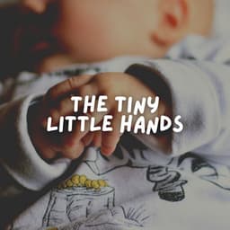 The Tiny Little Hands - BabySleepDreams