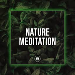 Nature Meditation - Jungle Sounds
