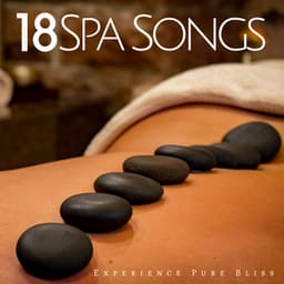 18 Spa Songs - Experience Pure Bliss with the Best Collection of Wellness - Serena Wood