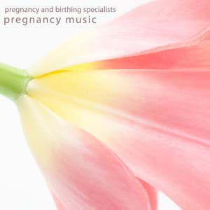 Pregnancy Music - Pregnancy and Birthing Specialists