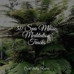 50 Spa Music Meditation Tracks - Deep Sleep FX