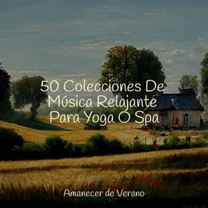 50 Colecciones De Música Relajante Para Yoga O Spa - Meditación Guiada
