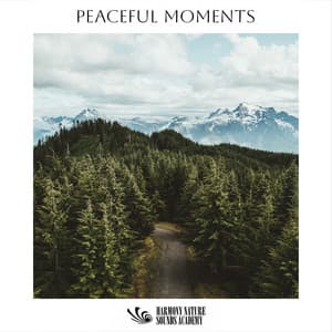 Peaceful Moments - Harmony Nature Sounds Academy