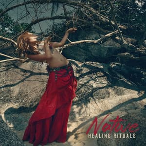 Native Healing Rituals - United with Nature, Flute and Drums Music, Shamanic Music - Native Shamanic Zone