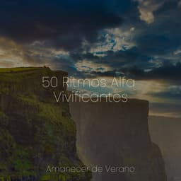 50 Ritmos Alfa Vivificantes - Sonidos De Lluvia y Tormentas